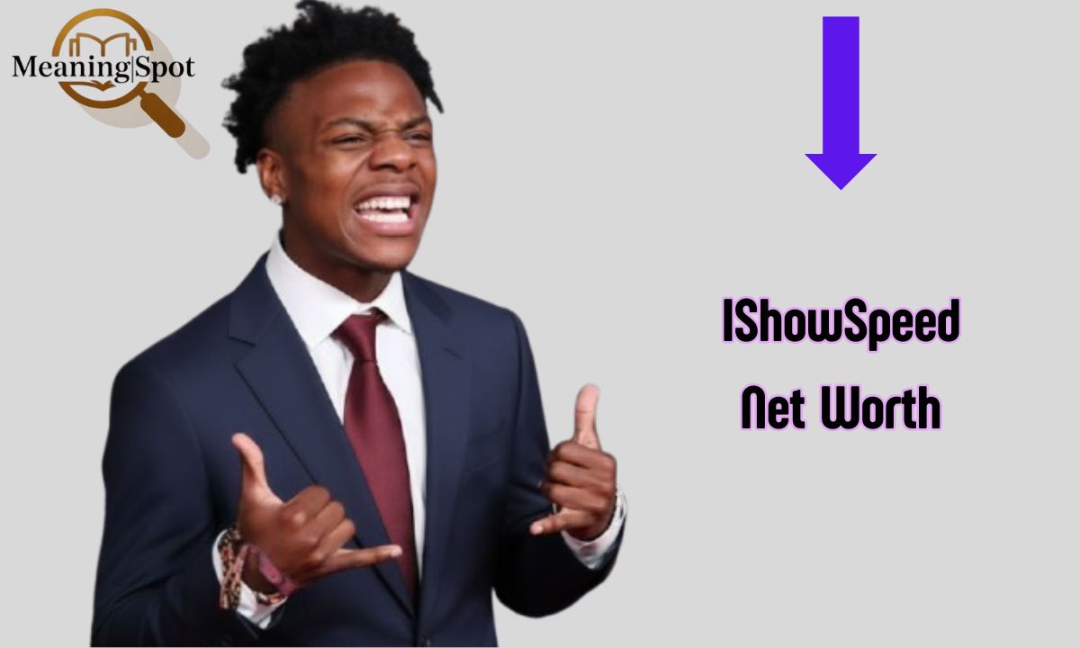 IShowSpeed Net Worth